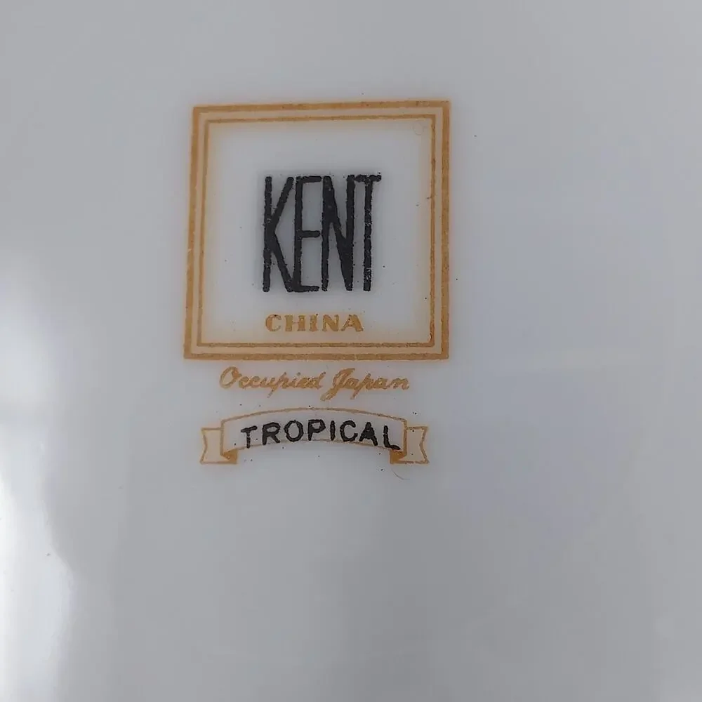 Kent Tropical Pattern Set of 4 Salad Plates 7.5